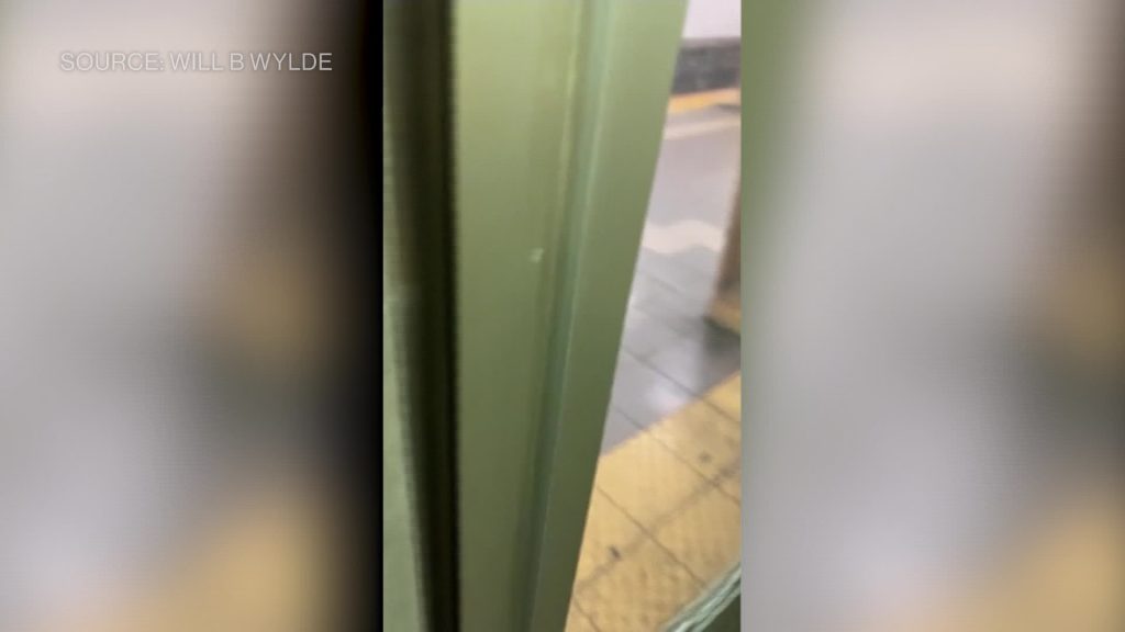 Video: Gunfire erupts on NYC Subway