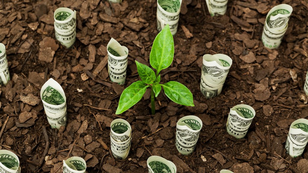 Yes, Investing in ESG Pays Off