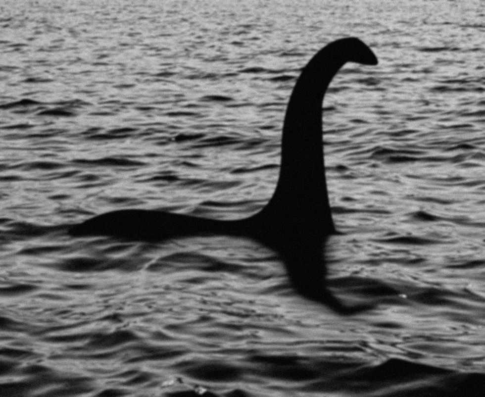 This Professor Thinks the Loch Ness Monster Might’ve Actually Been a Whale’s Penis