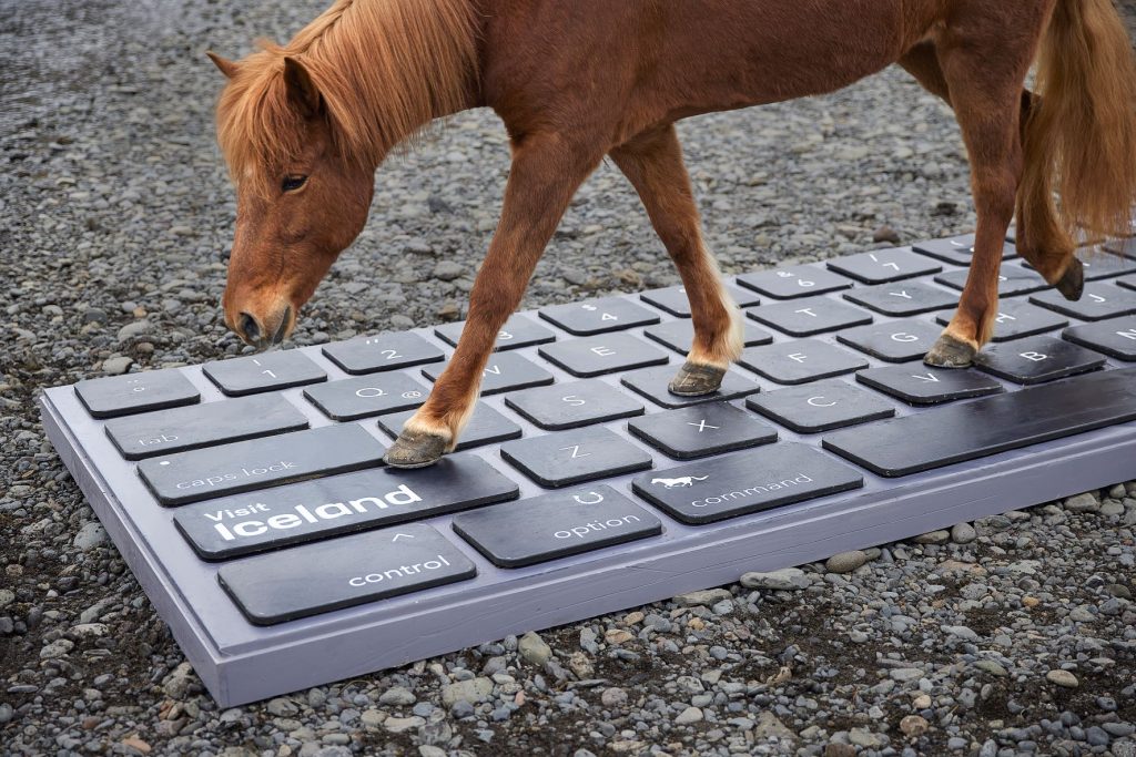 Iceland Trots Out Service That Lets Horses Reply to Work Emails While You’re On Vacation