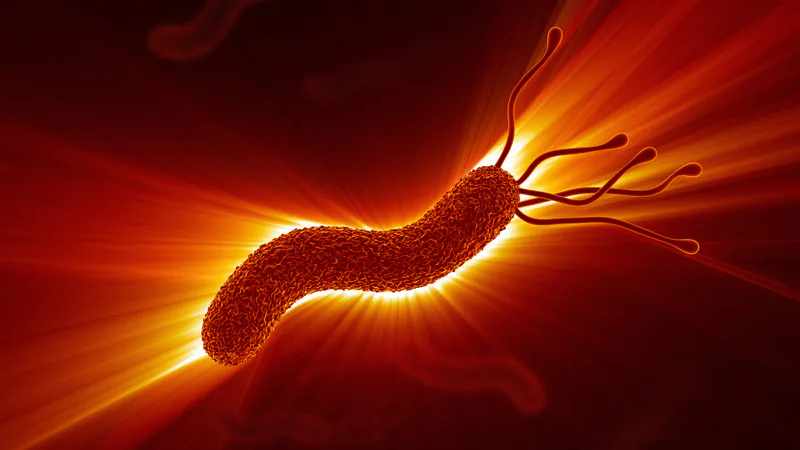 H pylori Antibiotics Briefly Disrupt Gut Microbiome