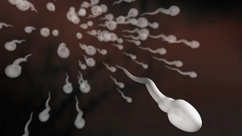 New Test Might Transform Male Infertility