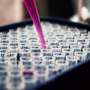 Researchers develop newly redefined breast cancer response subtypes