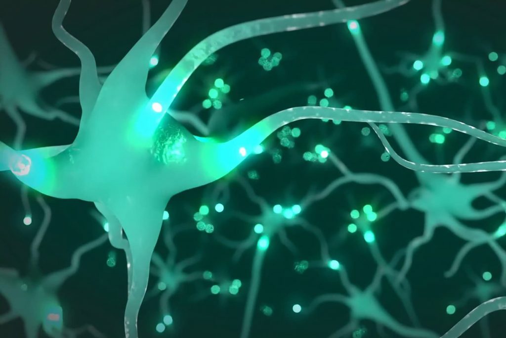 Brain’s Wiring, Not Lack of Willpower, May Drive Obesity: Study