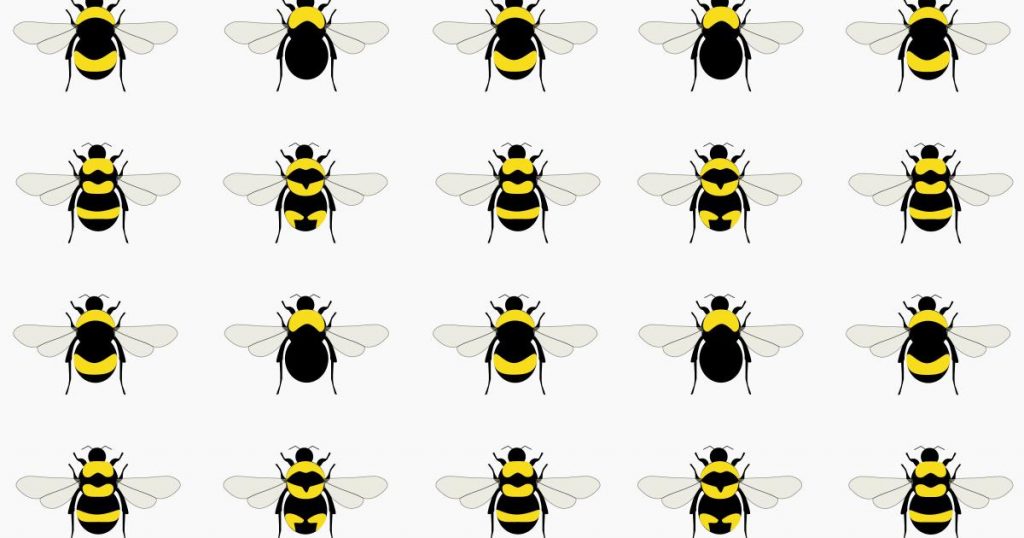 A newly expanded conservation law could help save California’s bees