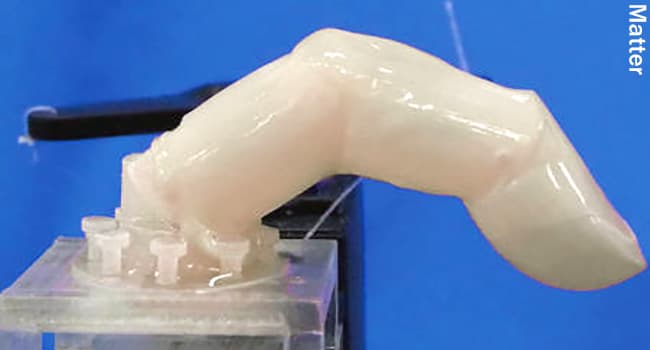 Robot Finger With Living Skin Points To A New Future