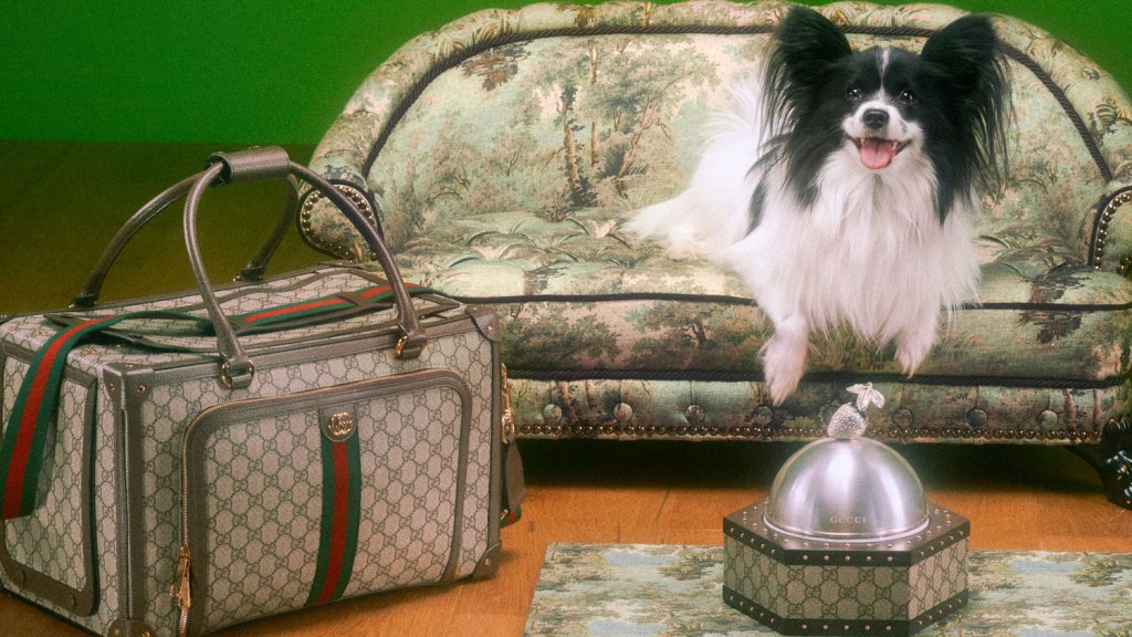 Gucci’s Newest Collection Is for Luxury-Loving Canines and Felines