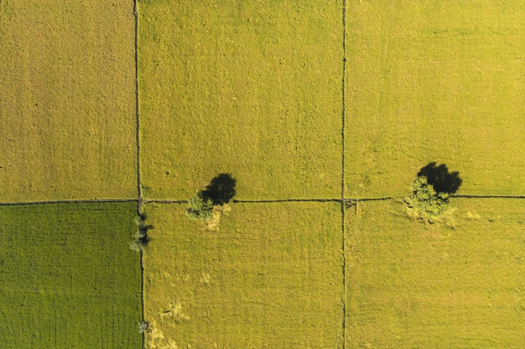 What is Taxonomy eligible?