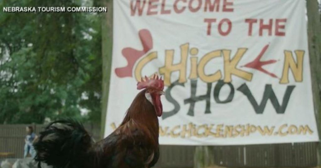 States creating clever ads in effort to boost summer tourism