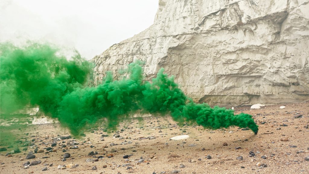 How Greenwashing Affects the Bottom Line