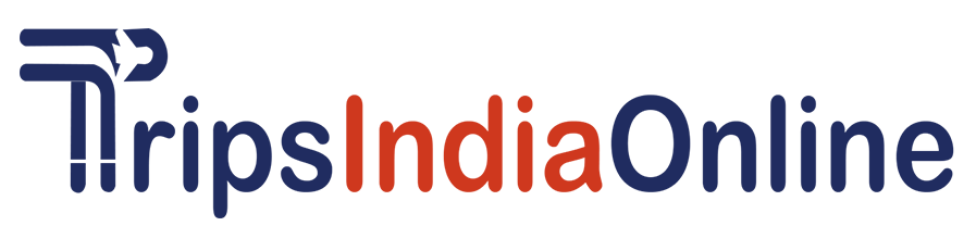 Plan Your Memorable Vacation with TripsIndiaOnline.com