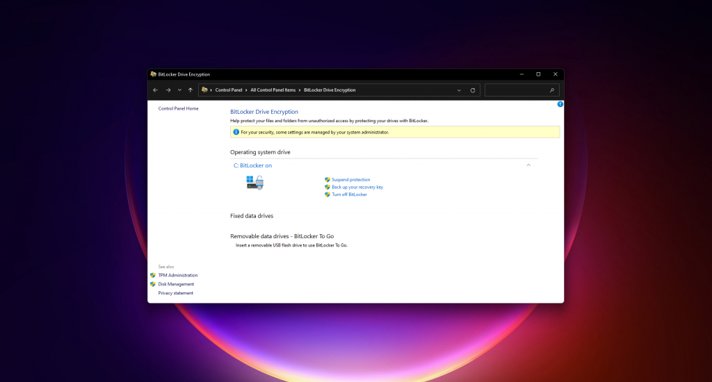 This Windows 11 encryption bug may cause data damage