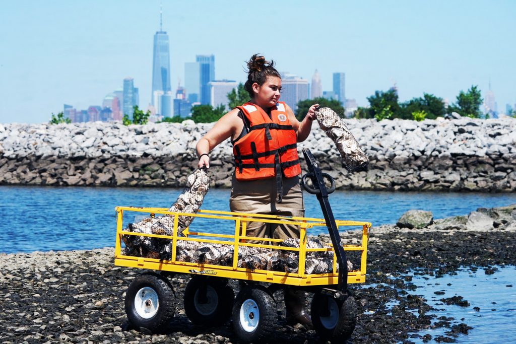 How Scientists Are Cleaning Up Rivers Using Grasses and Oysters