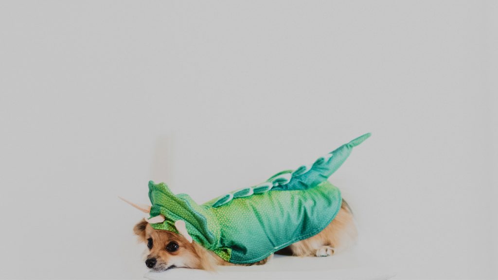 Are You Afraid to Identify as a Leader?