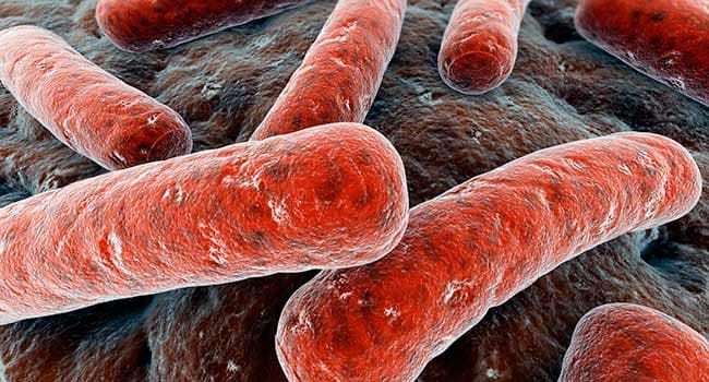 Your Poop May Hold the Secret to Long Life