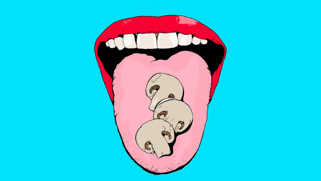 Mushroom Meat Is Cheap and Yummy—Why Don’t We Eat It More?