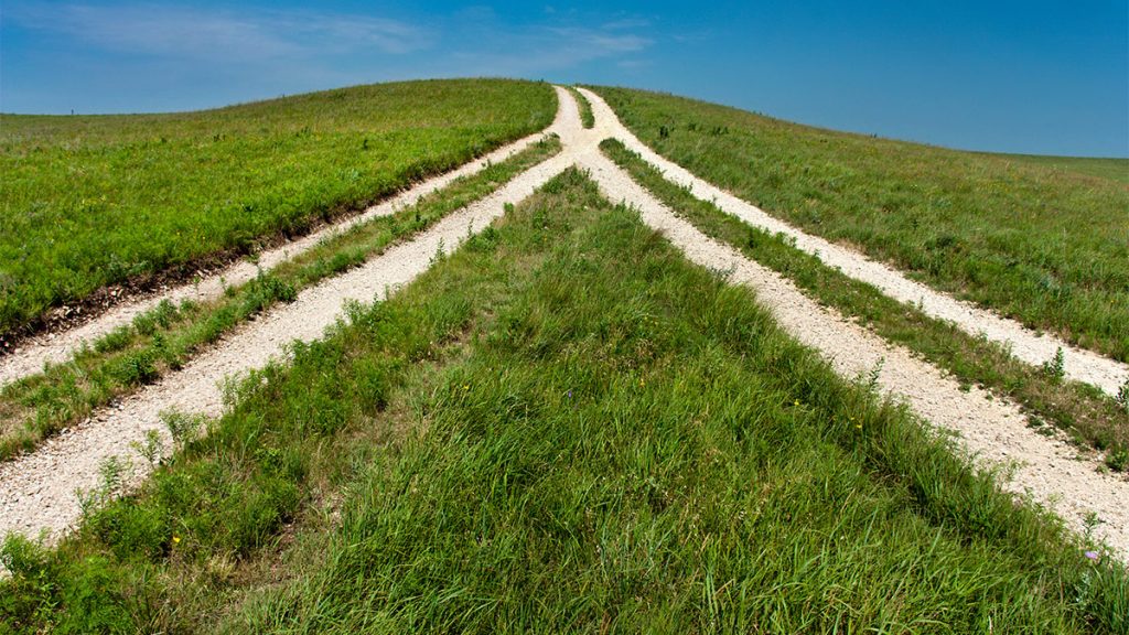 Preparing Your Startup for the Next M&A Wave