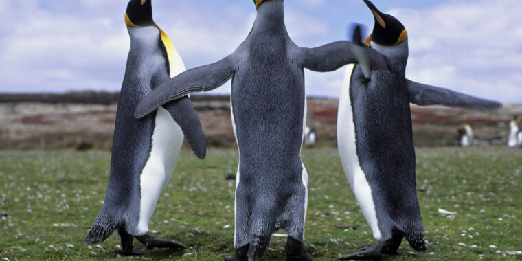 Linux 6.0 arrives with support for newer chips, core fixes, and oddities