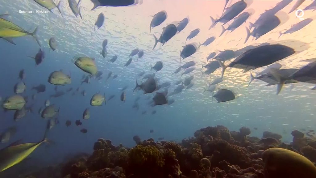 “When it comes to restoring our environments, we are still very much in the Stone Age.”