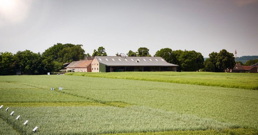 Bayer showcases how to jointly tackle the challenges of food security and climate change