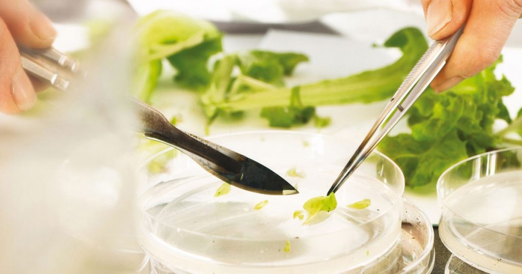 Bayer and Ginkgo Bioworks close deal creating Agricultural Biologicals Powerhouse