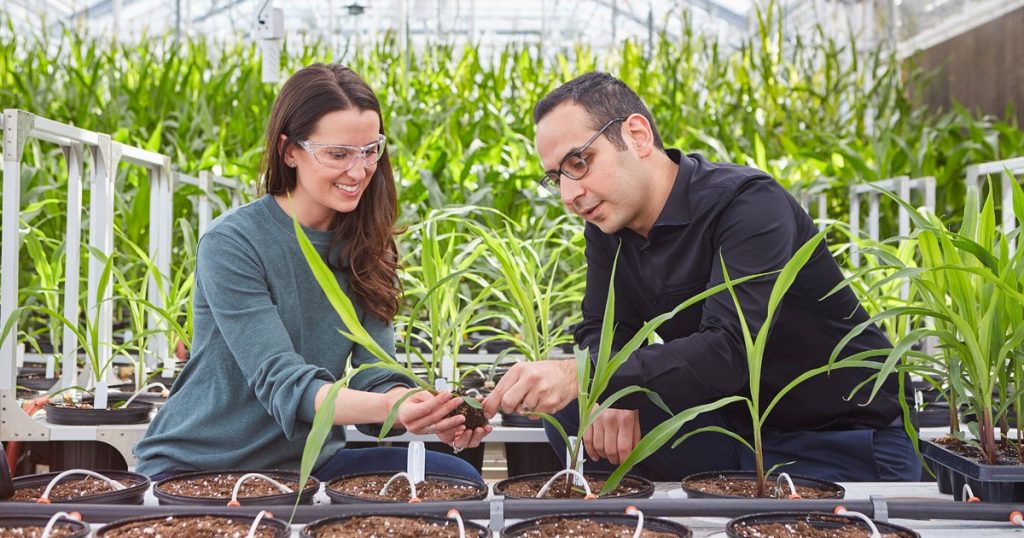 Bayer launches new LifeHub in Monheim focused on the Future of Agriculture in Europe