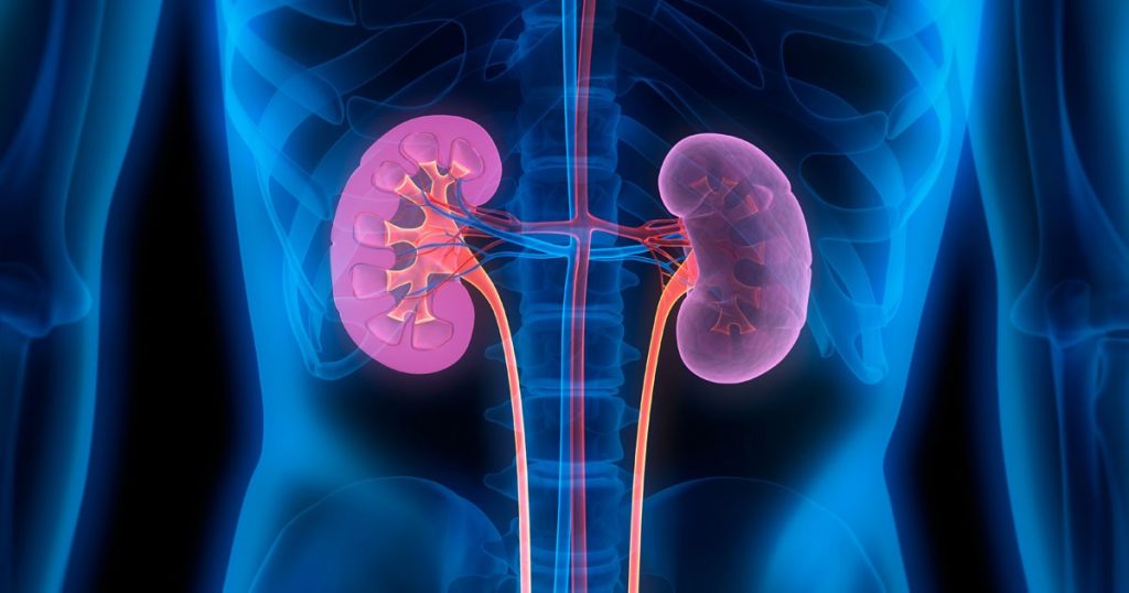 Bayer to present new cardiorenal data from comprehensive Kerendia™ (finerenone) clinical trial program across a broad range of patients with chronic kidney disease and type 2 diabetes