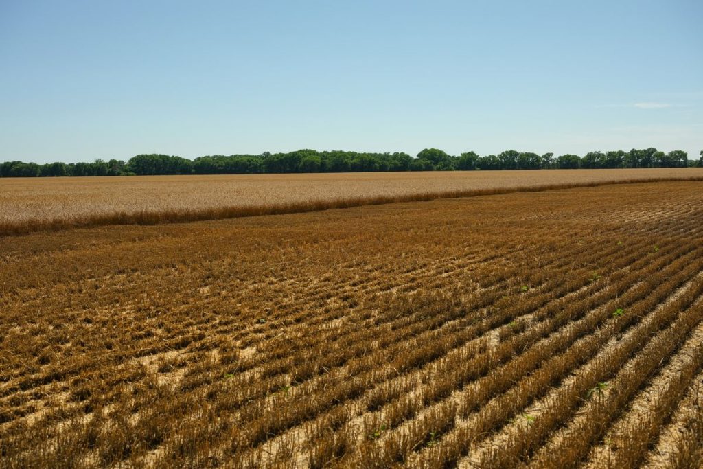Some US Farms Are So Dry the Dirt Is Repelling Fertilizer