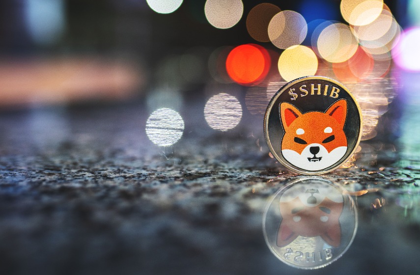 Shiba Inu prediction as price retraces 50%. What should you do?