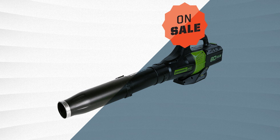 You Can Get This Lightweight Cordless Leaf Blower for 30% Off on Amazon