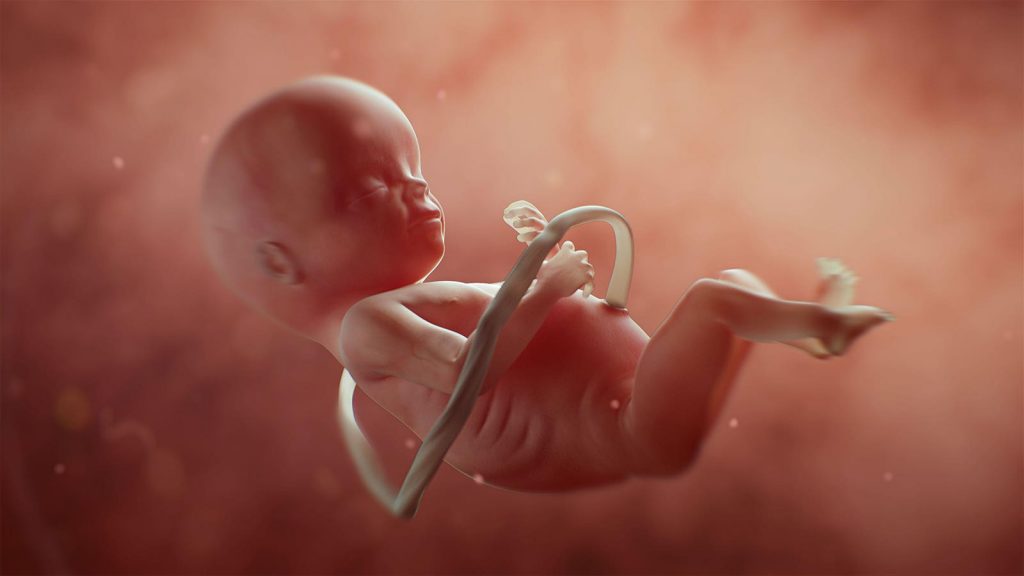 Promising Results in First Test of In Utero Enzyme-Replacement Therapy
