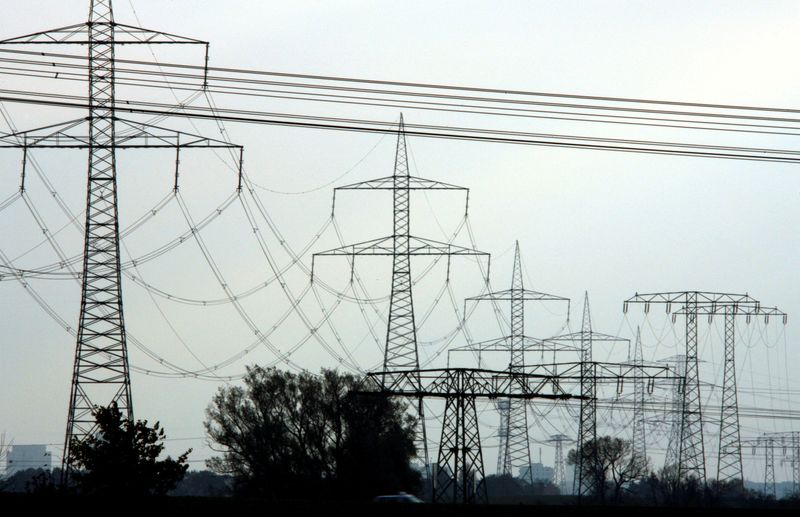 Exclusive-Germany steps up emergency cash plans to cope in blackout