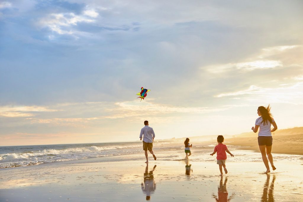 Welcome to South Carolina’s Hammock Coast