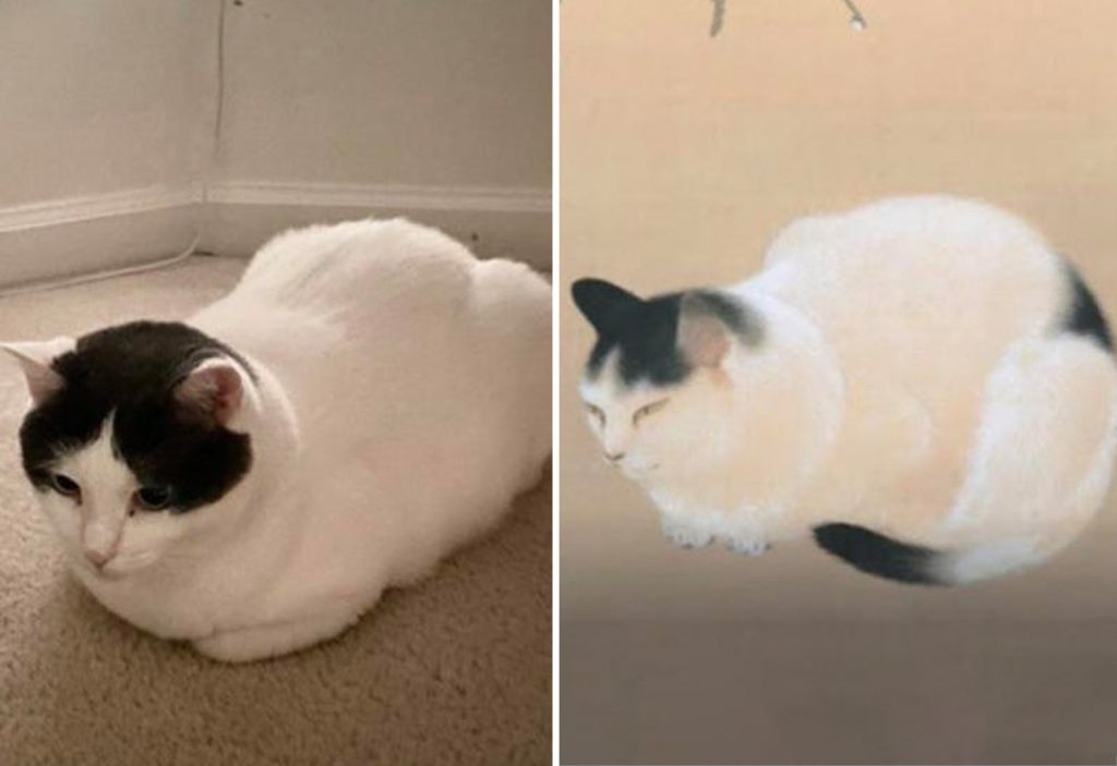Cat Owner Finds Pet Doppelgänger in 1900s Japanese Painting