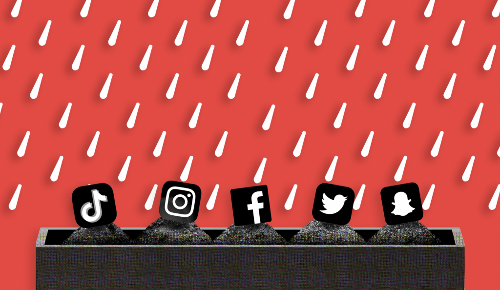 Disqo report: Take social more seriously when you don’t have dollars to waste