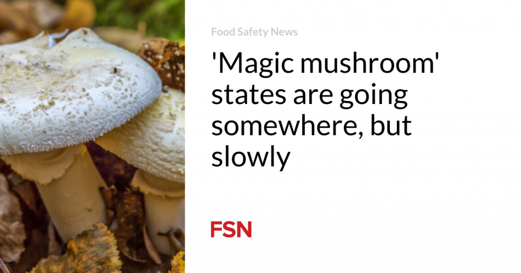 ‘Magic mushroom’ states are going somewhere, but slowly