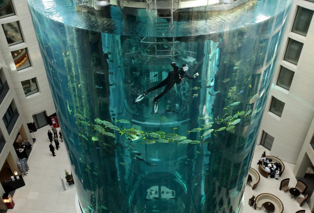 Video: Massive Berlin Aquarium With 1,500 Fish Bursts In Hotel