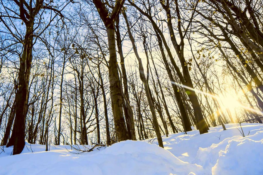 What It’s Like to Have Seasonal Affective Disorder (SAD)