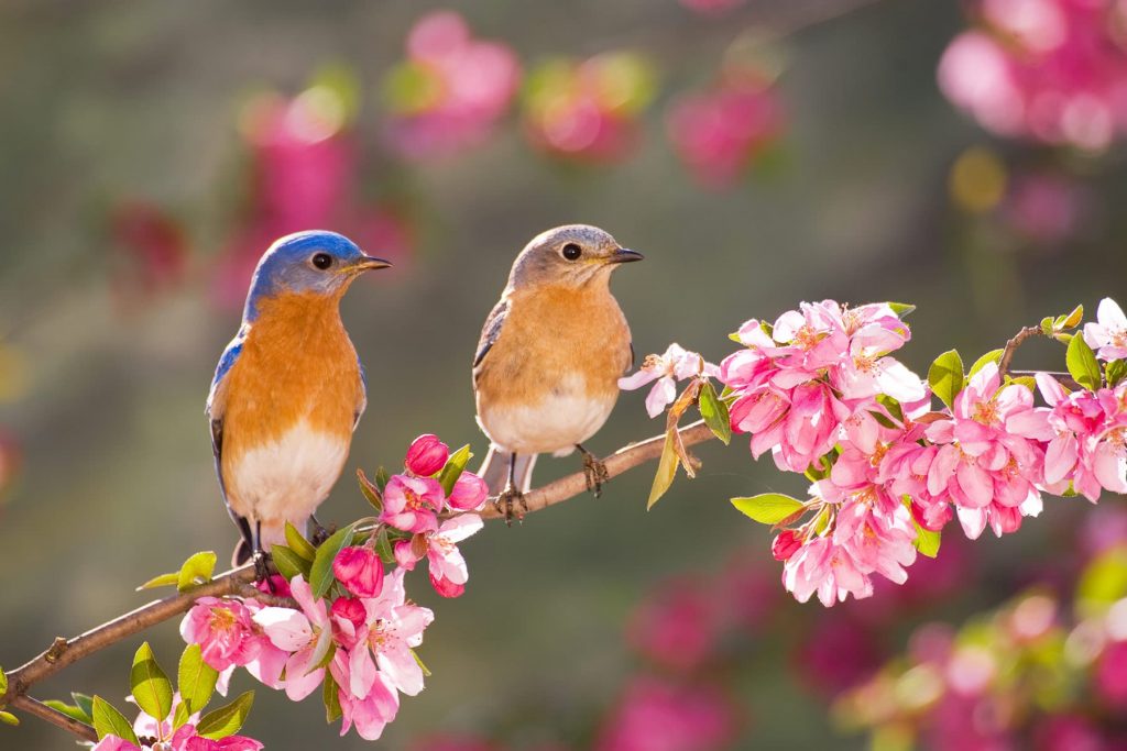 Balancing the Good With the Bad