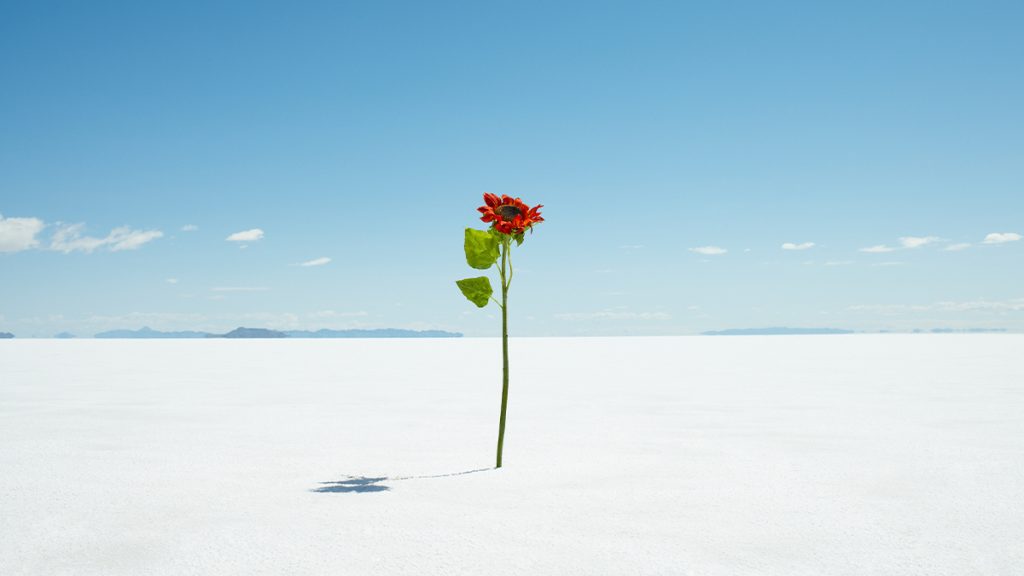 Was 2022 the Year of Resilience?