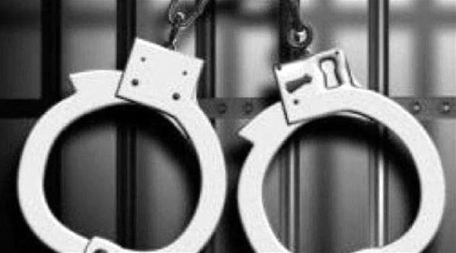 Mutant Ape Planet NFT Creator Aurelien Michel Arrested at JFK Airport
