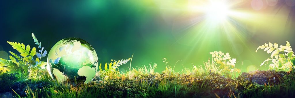 Companies put commercial gain ahead of sustainability, says Software AG research