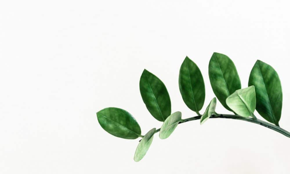 MakerDAO plans to make a $100M move according to this new proposal