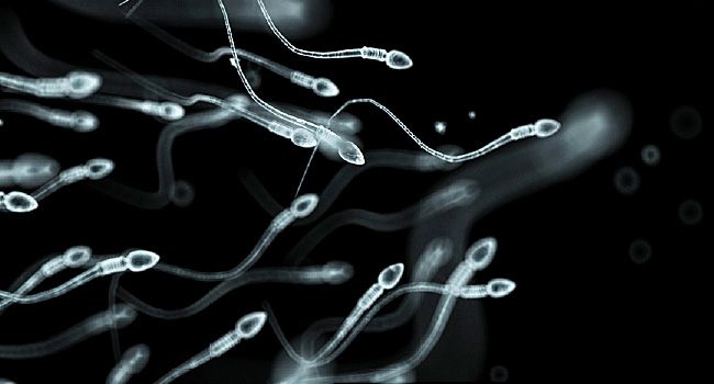 Most Men Who Apply to Donate Sperm Don’t Complete Process