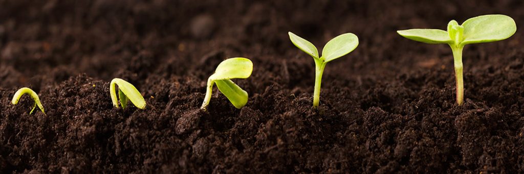 Barclays Eagle Labs awarded Digital Growth Grant over Tech Nation