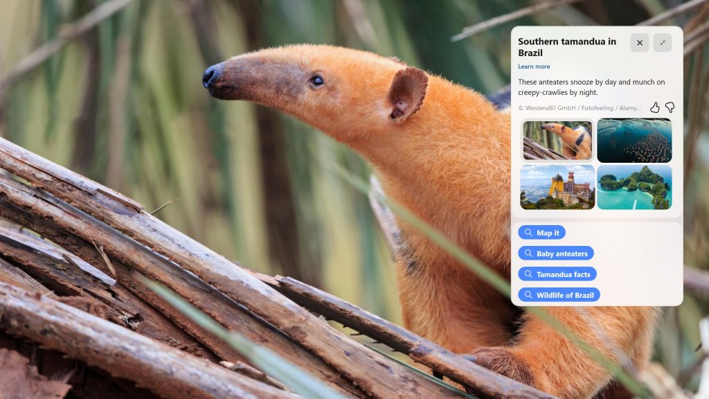 Notepad tabs, overhauled graphics settings appear in Windows betas