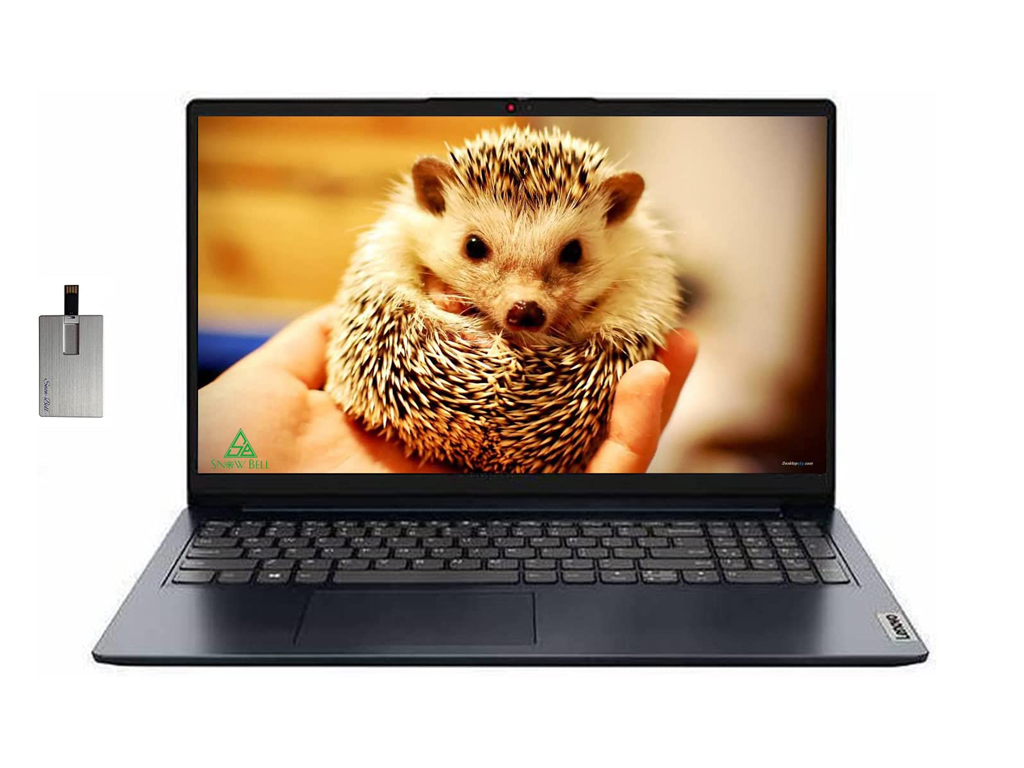 Lenovo IdeaPad 1 15, Pentium Silver N6000