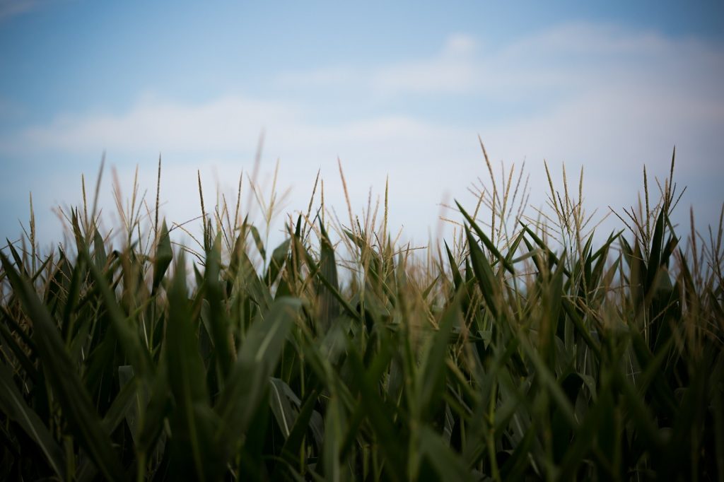 Climate is forcing the most risk-aware industry to reinvent itself