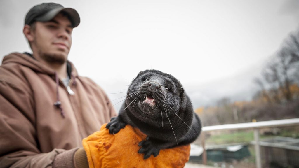 Here’s Why Experts Are Concerned About Bird Flu