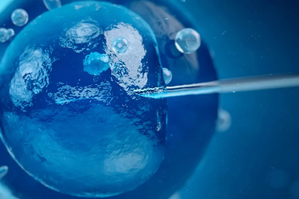 AI Meets Embryos: The Future of IVF